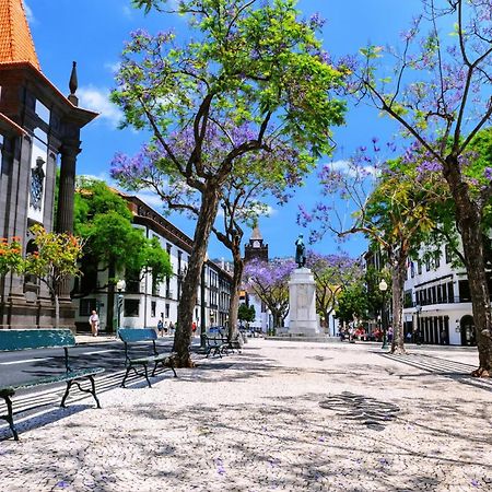 Stylish Apartment With Balcony And Amazing Views Over Funchal And The Sea المظهر الخارجي الصورة