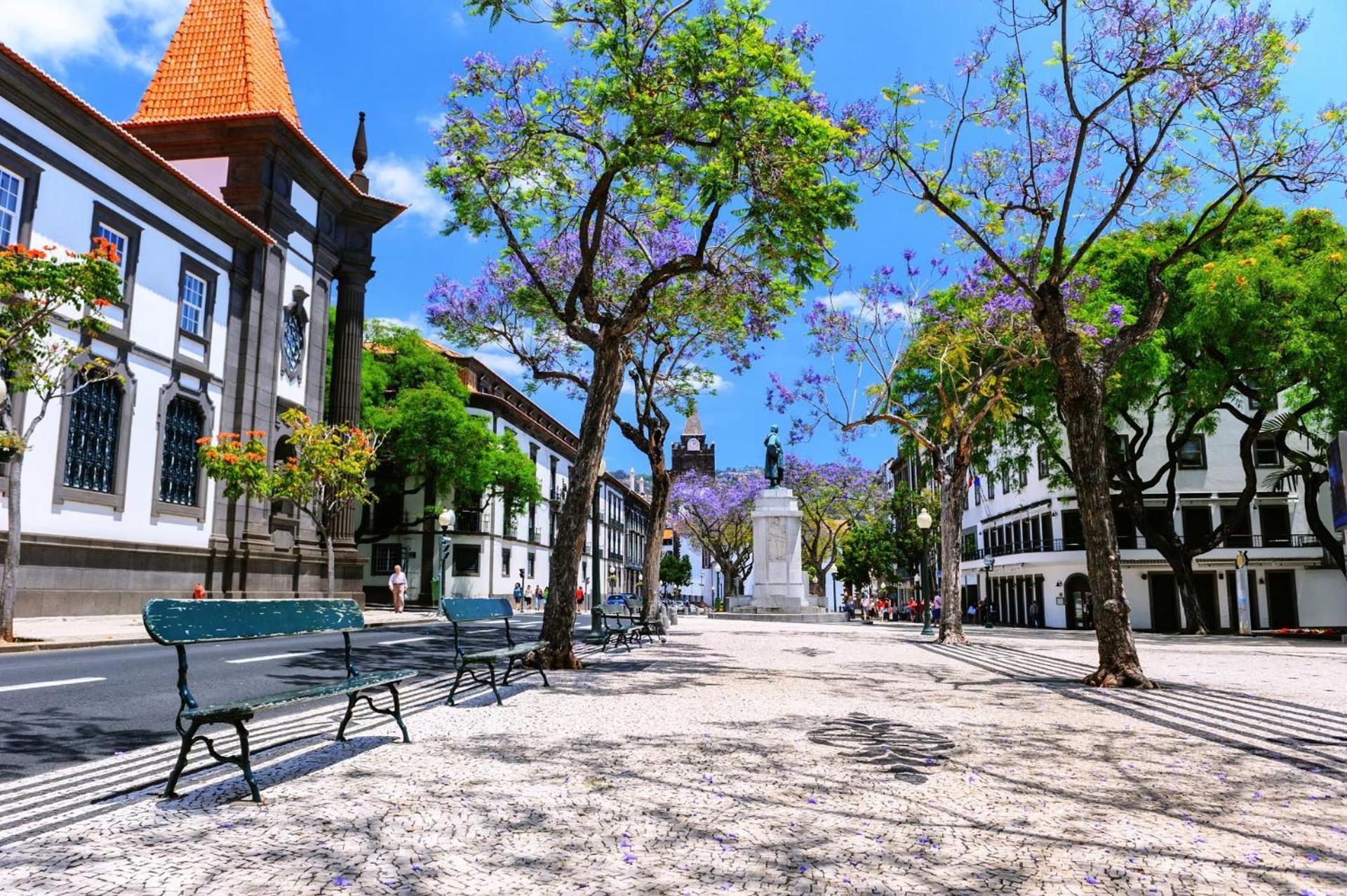 Stylish Apartment With Balcony And Amazing Views Over Funchal And The Sea المظهر الخارجي الصورة